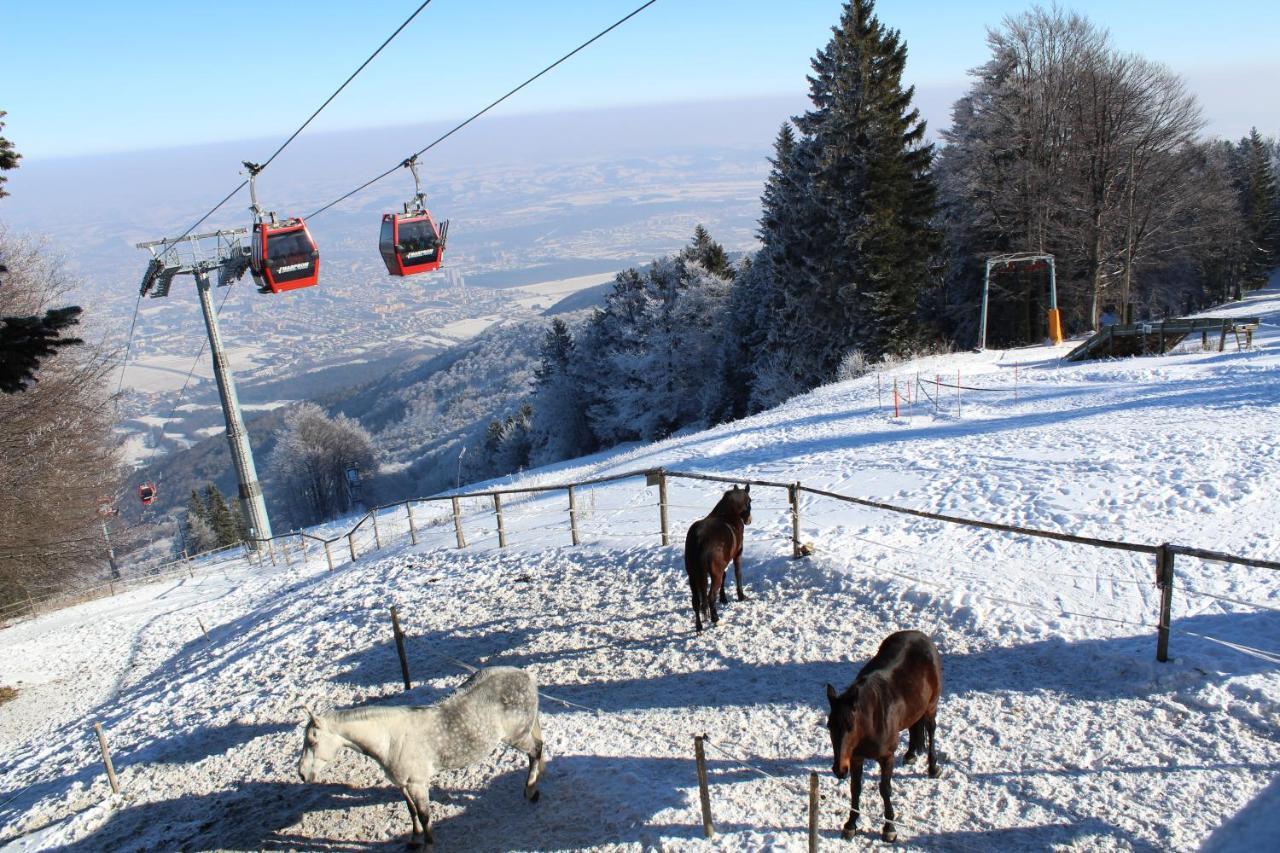Pohorje Village Wellbeing Resort - Wellness & Spa Hotel Bolfenk Марибор Экстерьер фото